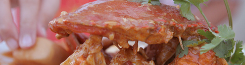 Maxicab - Visitor Transfer - Local Favourite Food