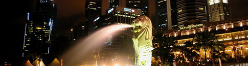 Maxicab - Visitor Transfer - Singapore Attractions